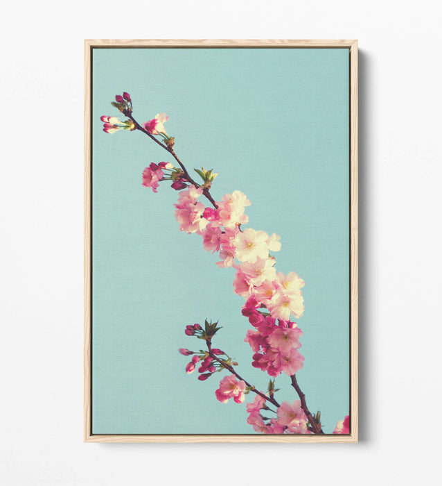 CHERRY BLOSSOM TEAL -FLOAT EFFECT CANVAS WALL ART PIC PRINT- CYAN