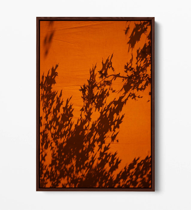Canvas Wall Art Print - Orange Sunset Art With Tree Leaves Shadow | Float Effect Canvas