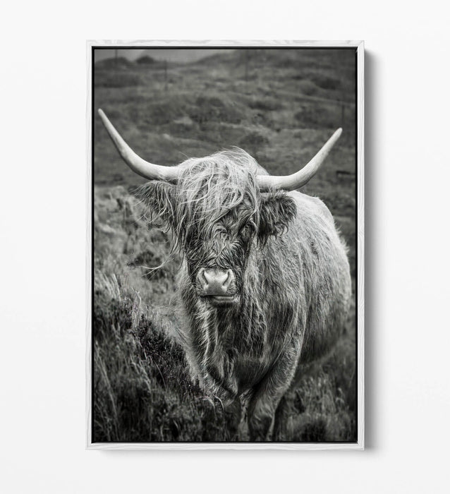 Highland Cow Canvas | Black and White Float Effect Wall Art Print - Handmade UK