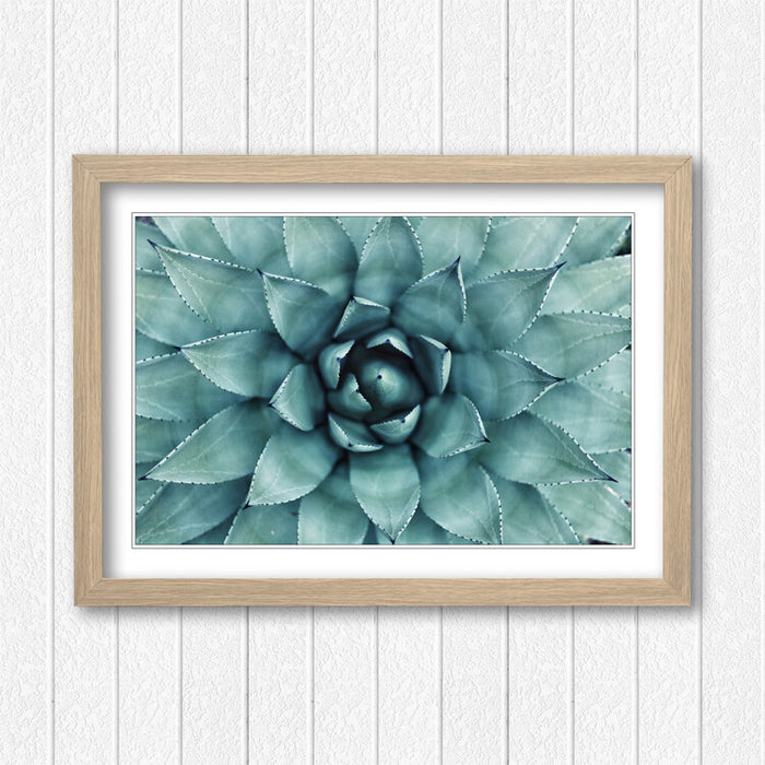 Canvas Wall Art – Framed Green Succulent Plant Poster With Scratch Resistant Finish