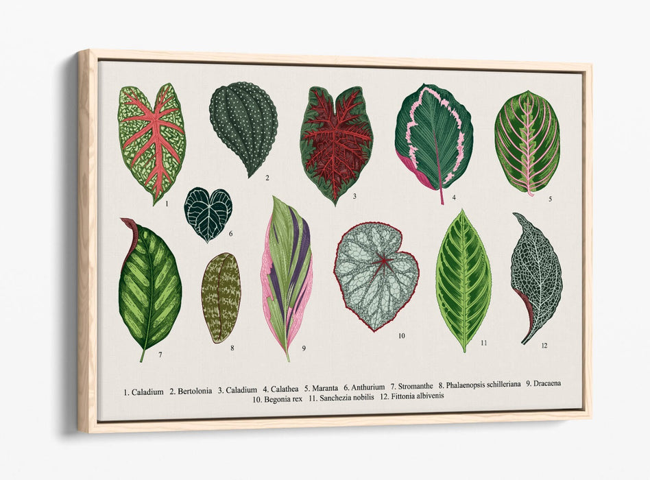 Plant Leaf Canvas Art – Botanical Wall Decor With Float Effect Frame