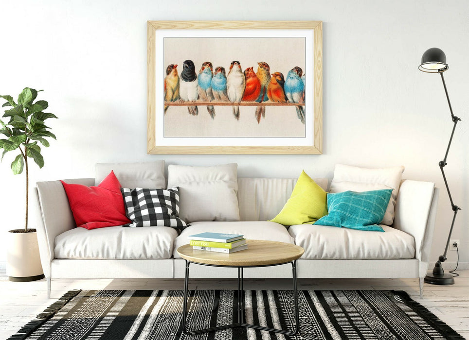 BIRDS ON A PERCH VINTAGE ART -ART FRAMED POSTER PICTURE PRINT ARTWORK- RED BLUE