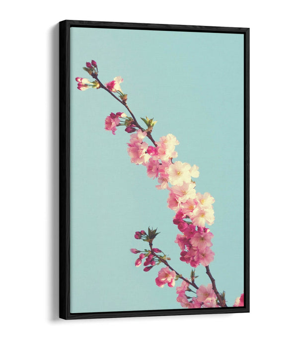 CHERRY BLOSSOM TEAL -FLOAT EFFECT CANVAS WALL ART PIC PRINT- CYAN