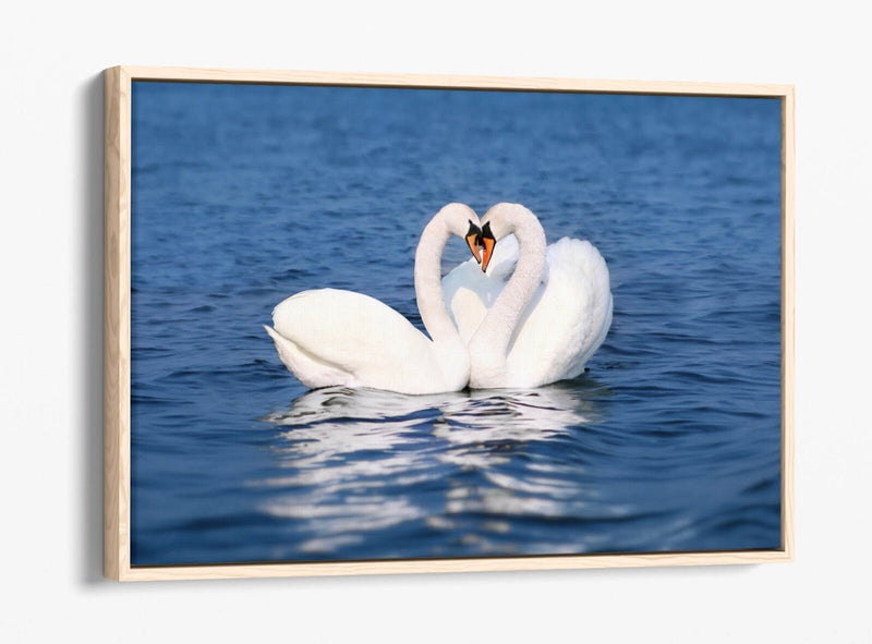 Canvas Wall Art – Swans Kissing Heart Love Print | Float Effect Bedroom Decor