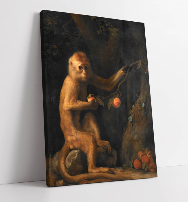 Canvas Wall Art - George Stubbs Monkey Painting Print | Handmade Ready to Hang