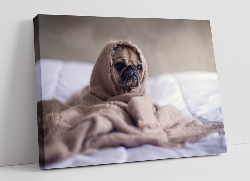 Pug Dog Canvas Art - Cute Pet Wall Art Print | Handmade UK Bedroom Decor