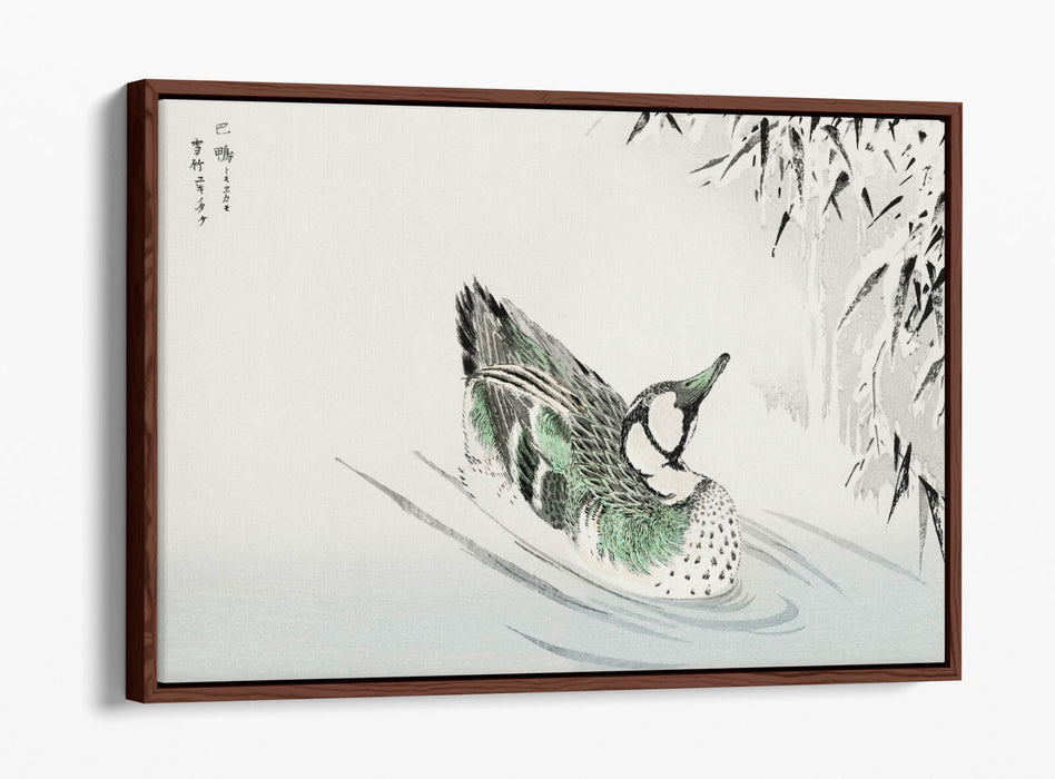 Canvas Wall Art - Numata Kashu Spectacled Teal Bamboo Float Effect Print on Premium Canvas