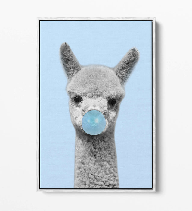 ALPACA BLACK WHITE BABY BLUE BUBBLEGUM FLOAT EFFECT CANVAS WALL ART PIC PRINT