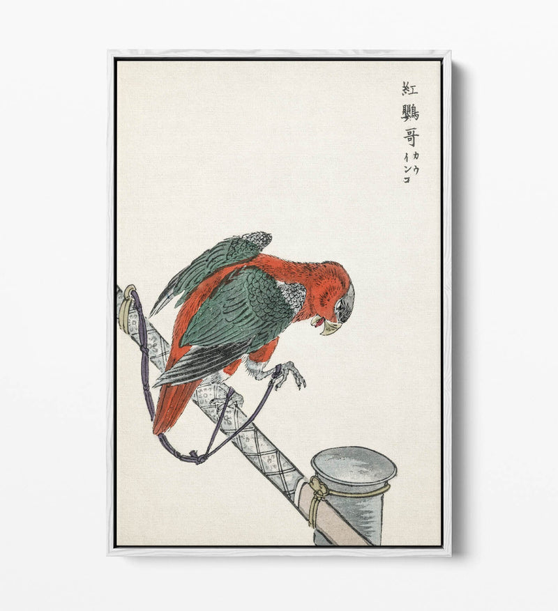 Canvas Wall Art - Macaw Float Effect Canvas Art Print | Handmade UK