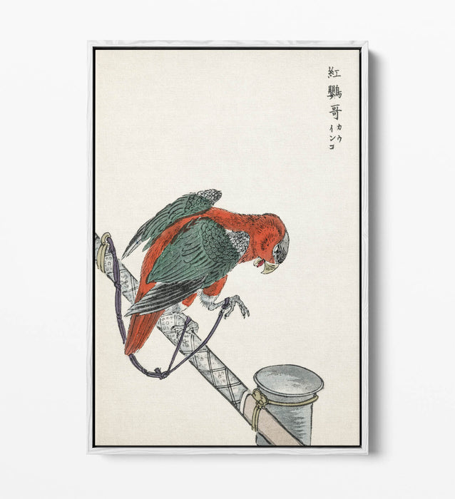 Canvas Wall Art - Macaw Float Effect Canvas Art Print | Handmade UK