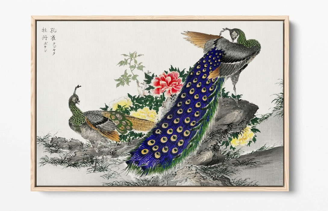 Canvas Wall Art Print - Peacock And Peony Float Effect | Handmade UK Canvas Art