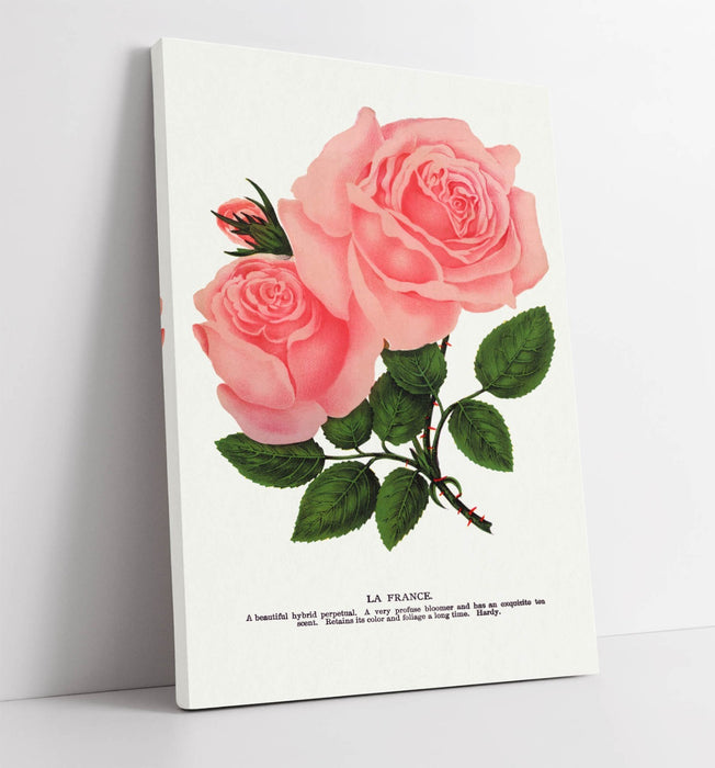 Pink Rose Canvas Art – Handmade UK Floral Wall Artwork on Archival Grade Canvas