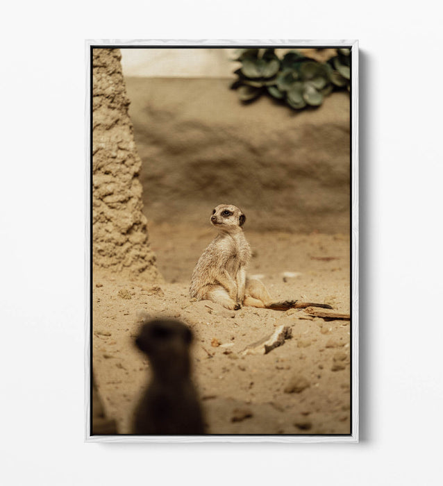 Canvas Wall Art - Cute Meerkat Print With Float Effect | Handmade UK Bedroom Decor