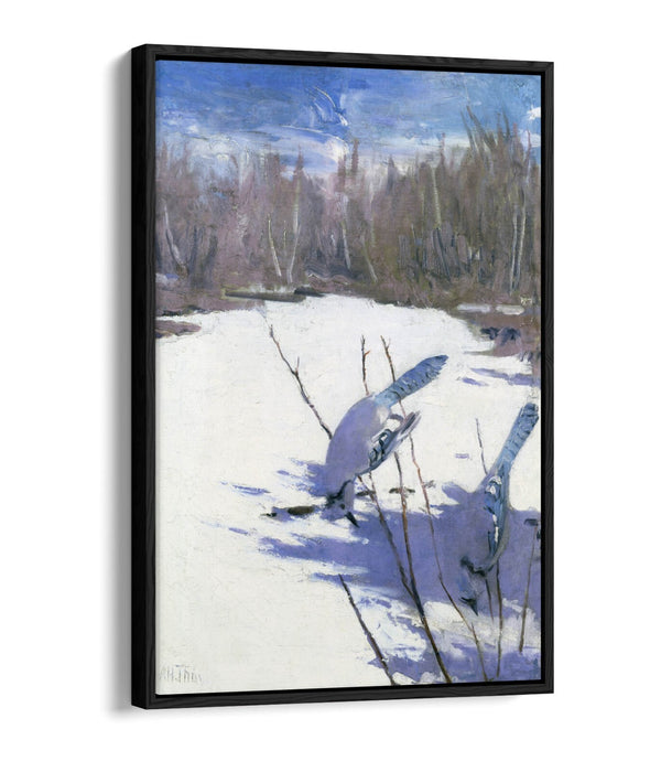 Canvas Art Print – Blue Jays In Winter Float Effect On MDF Frame, Ready To Hang