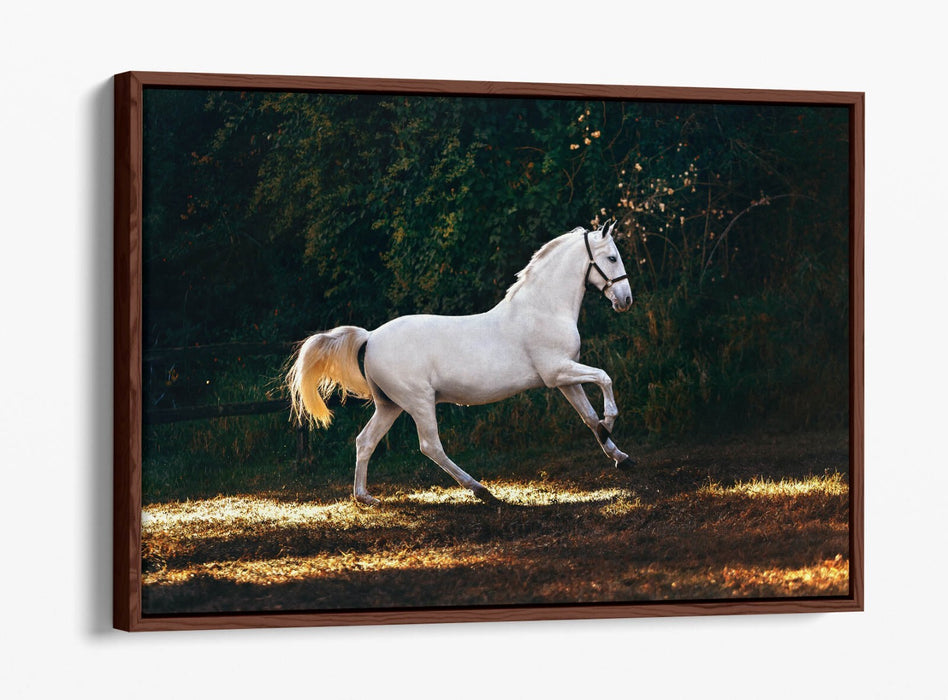 WHITE HORSE GALLOPING HOME BEDROOM DECOR FLOAT EFFECT CANVAS WALL ART PRINT