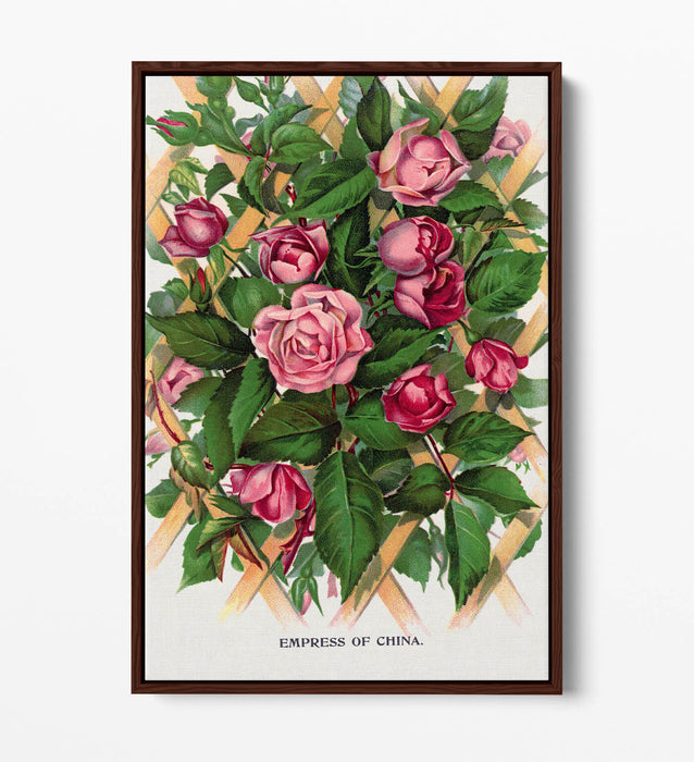 Canvas Wall Art Print - Empress Of China Rose Lithograph With Float Effect Frame