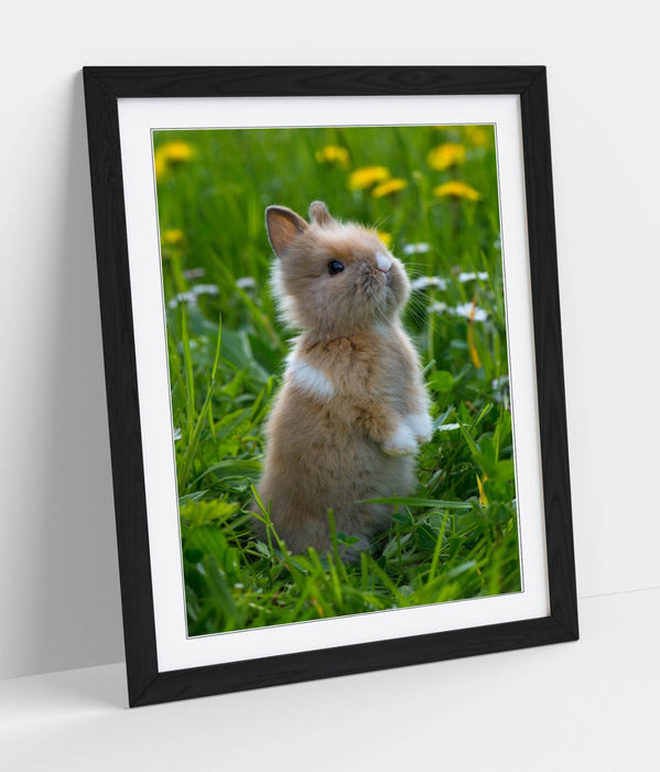 Bunny Wall Art – Framed Cute Rabbit Poster Print | Standing Rabbit Decor