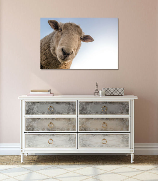 Canvas Wall Art - Curious Sheep Handmade Canvas Print with Deep Frame