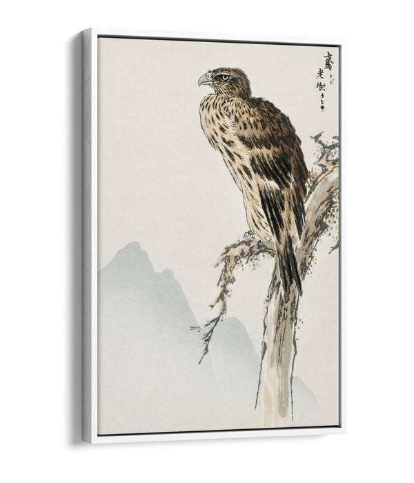 Canvas Wall Art - Numata Kashu Black Eared Kite Float Effect Print on Premium Frame