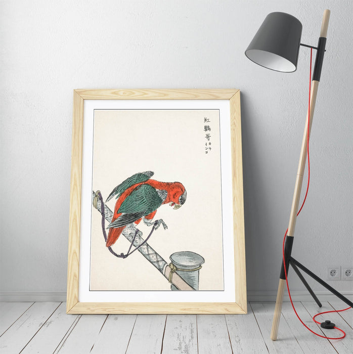 Framed Wall Art - Numata Kashu Macaw Poster Print | Handmade UK Woodgrain Frame