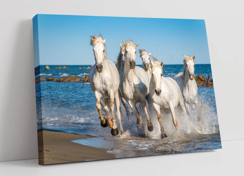 White Horses Canvas Art – Running Horses Picture on Seashore Beach Wall Decor