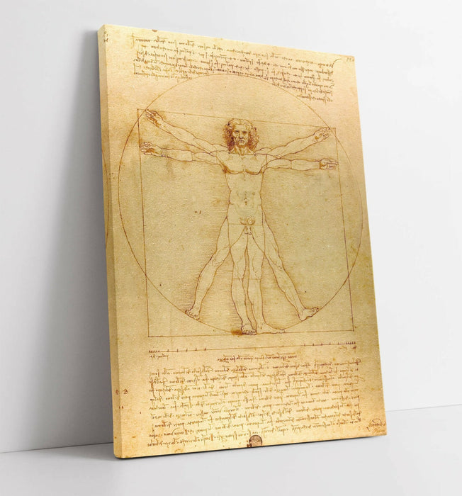 Vitruvian Man Canvas - Leonardo Da Vinci Framed Canvas Print 30mm Deep Frame