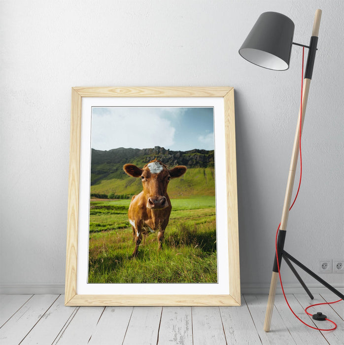 Framed Wall Art - Brown Cow In Green Field | Handmade UK Home Decor Print