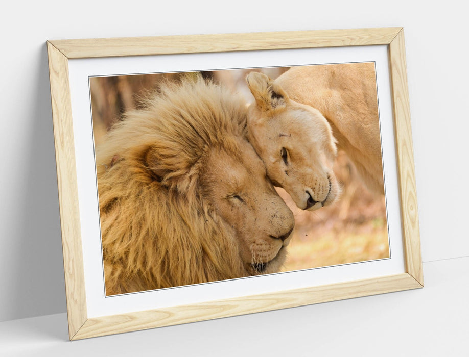 Framed Wall Art - Lions In Love Print | Handmade Bedroom Decor, Matte Paper Print