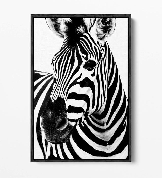 ZEBRA HEAD FLOAT EFFECT CANVAS WALL ART PIC PRINT GRAFFITI- BLACK & WHITE