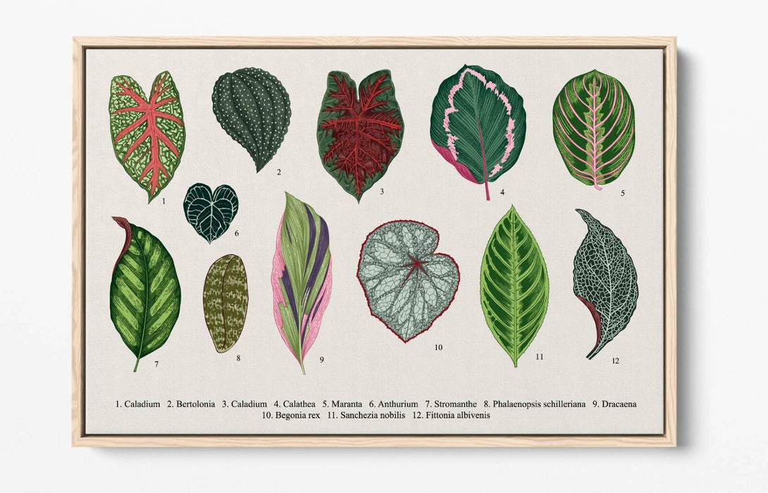 Plant Leaf Canvas Art – Botanical Wall Decor With Float Effect Frame