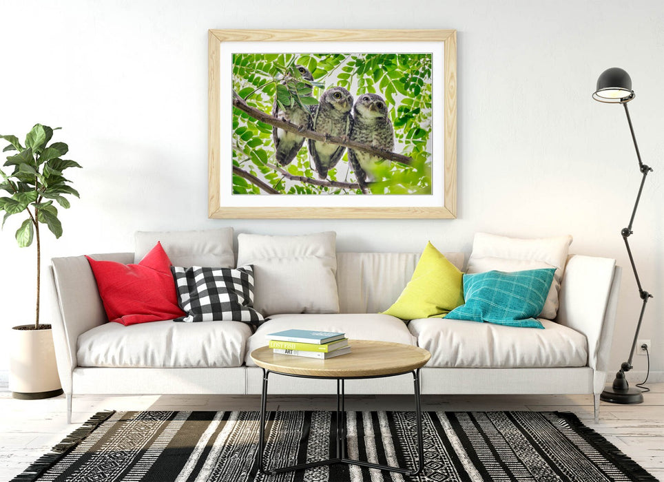 Framed Owl Wall Art – Three Owls In Tree | Handmade Bedroom Framed Print