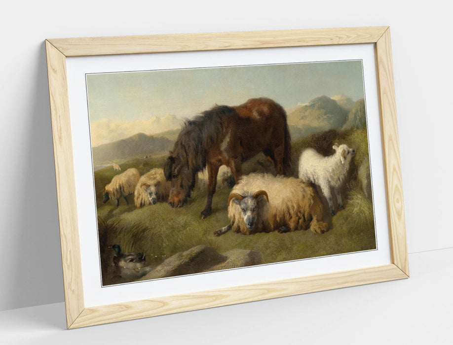 Framed Wall Art – Goats Sheep Pony Vintage Animal Print With Woodgrain Faux Frame
