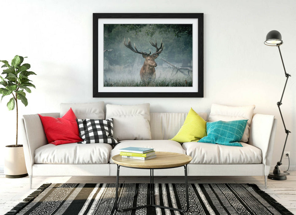 MAJESTIC STAG -WALL ART FRAMED POSTER PICTURE PRINT- ANIMAL PHOTOGRAPHY
