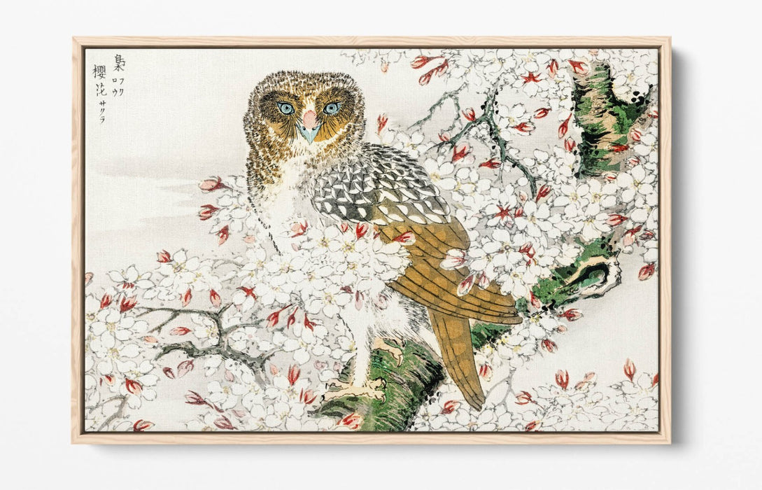 Canvas Wall Art Print – Numata Kashu Owl & Cherry Blossom Float Effect
