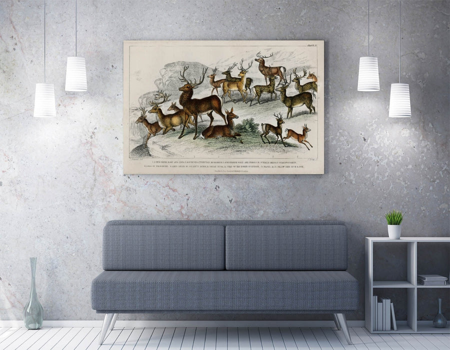 Canvas Wall Art - Oliver Goldsmith Art Deer Print | Handmade UK Canvas Artwork