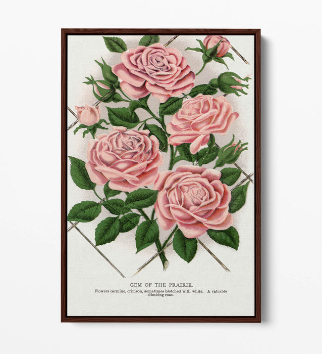 Float Effect Canvas Art – Pink Rose Prairie Lithograph Print | Handmade UK Wall Decor