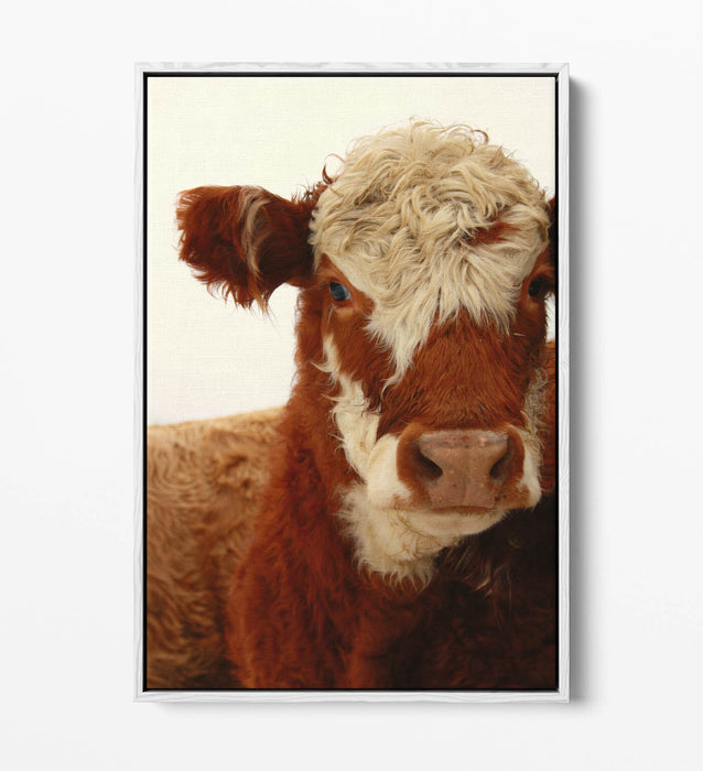 Cow Canvas Wall Art - Brown White Cow Print on Float Effect Canvas | Handmade