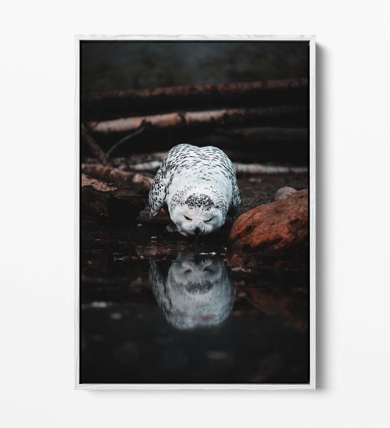 Snowy Owl Canvas Art - Float Effect Canvas Wall Art With Premium Varnish Finish