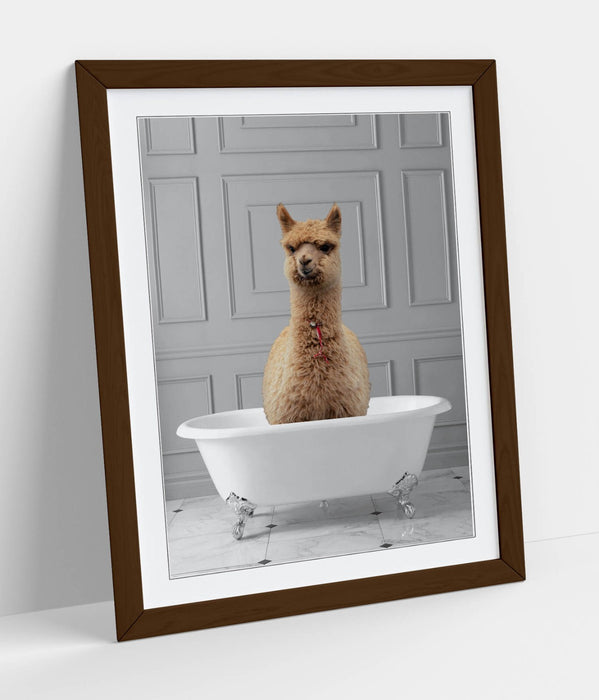 LLAMA IN BATHTUB -QUIRKY ART FRAMED POSTER PICTURE PRINT BATHROOM ARTWORK