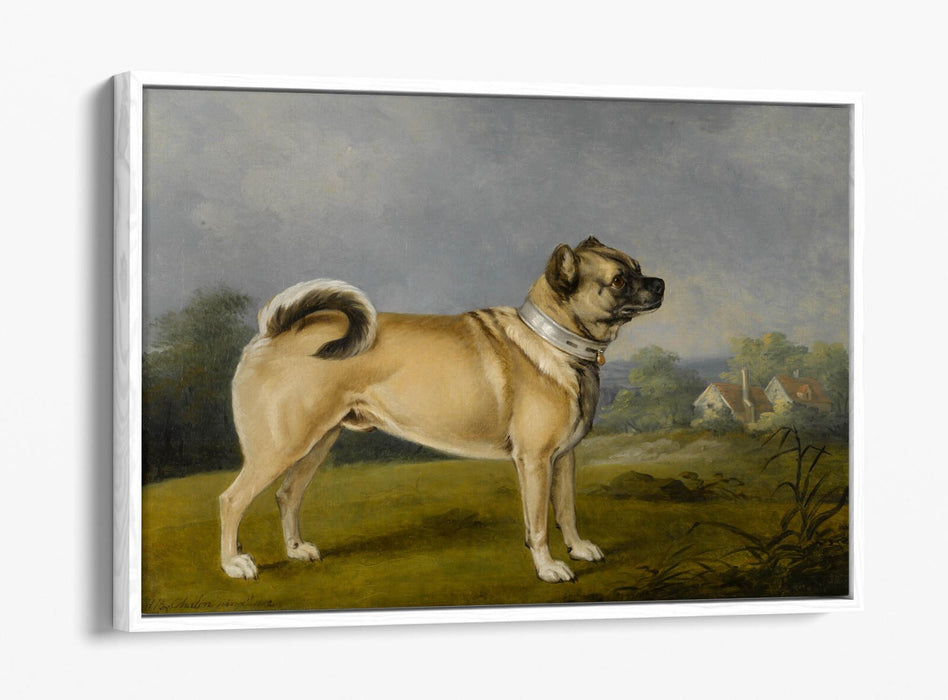 HENRY BERNARD CHALON, A FAVOURITE PUG -FLOAT EFFECT CANVAS WALL ART PRINT