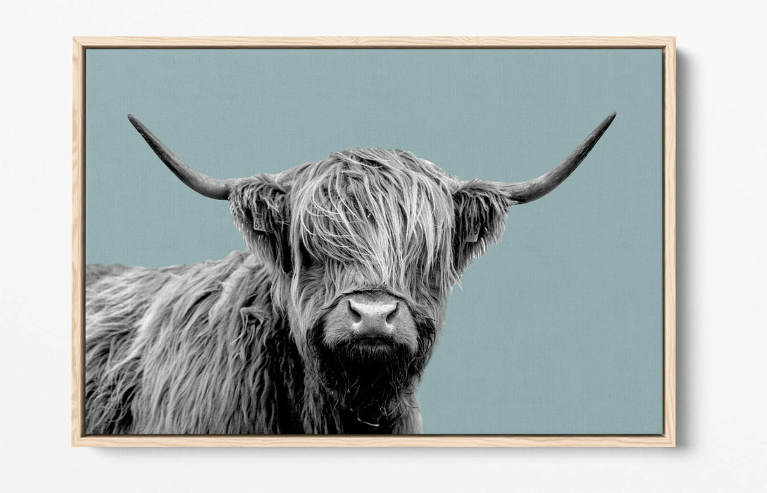 HIGHLAND COW DUCK EGG BLUE -FLOAT EFFECT CANVAS WALL ART PIC PRINT-