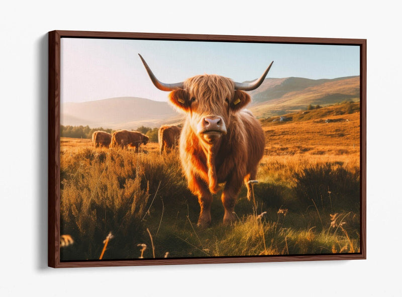 Float Effect Canvas - Highland Cows Print | Premium Varnish Finish Wall Art