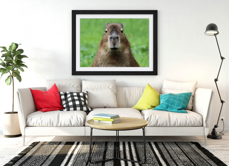 Funny Capybara Art - Framed Wall Art With Woodgrain Frame | Bedroom Decor Poster