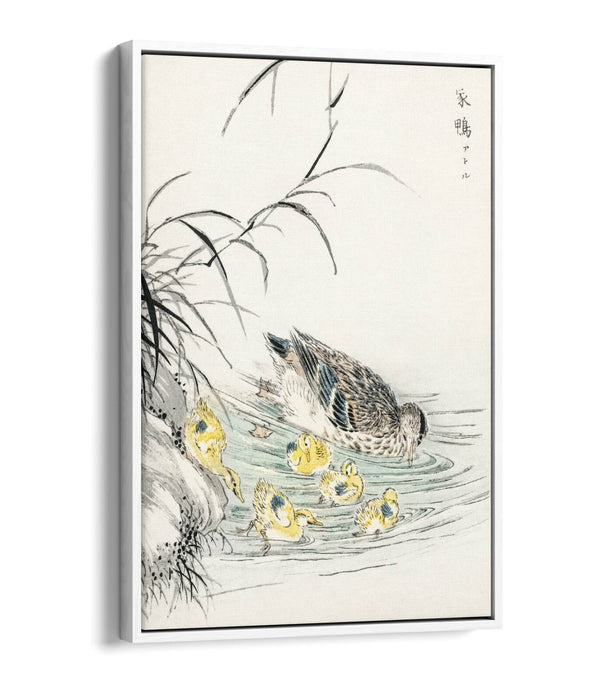 Canvas Wall Art Print - Duck and Ducklings Float Effect on Premium 30mm Deep Frame