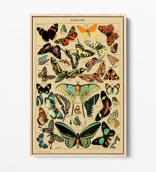 VINTAGE BUTTERFLIES ART POSTER RETRO -FLOAT EFFECT CANVAS WALL ART PRINT