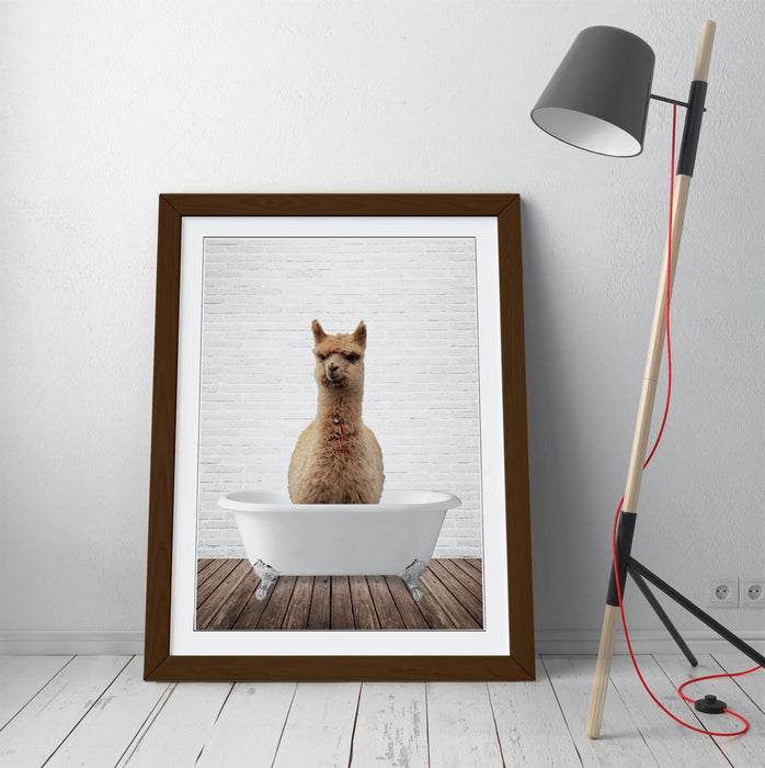 LLAMA IN BATHTUB -QUIRKY ART FRAMED POSTER PICTURE PRINT BATHROOM ARTWORK