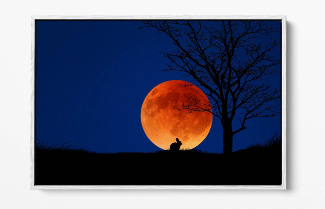 Canvas Wall Art – Rabbit Silhouette Moonlit Night | Premium Float Frame Print