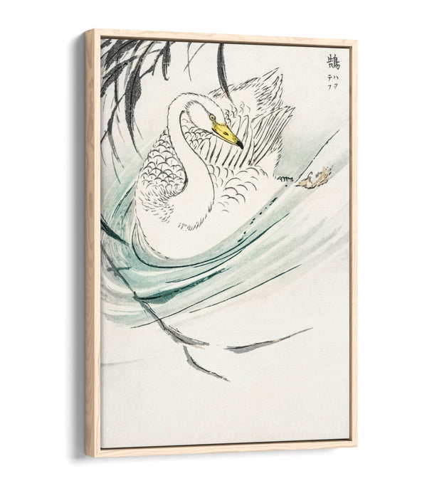 Float Effect Canvas Art - Wooper Swan Artwork on Premium 30mm Deep Frame