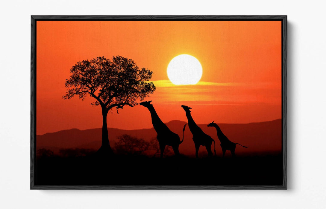 Safari Canvas Wall Art – African Landscape With Giraffes | Float Effect Print