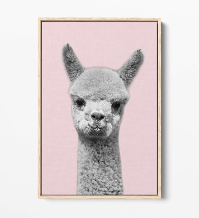 ALPACA BLACK WHITE BABY PINK FLOAT EFFECT CANVAS WALL ART PIC PRINT